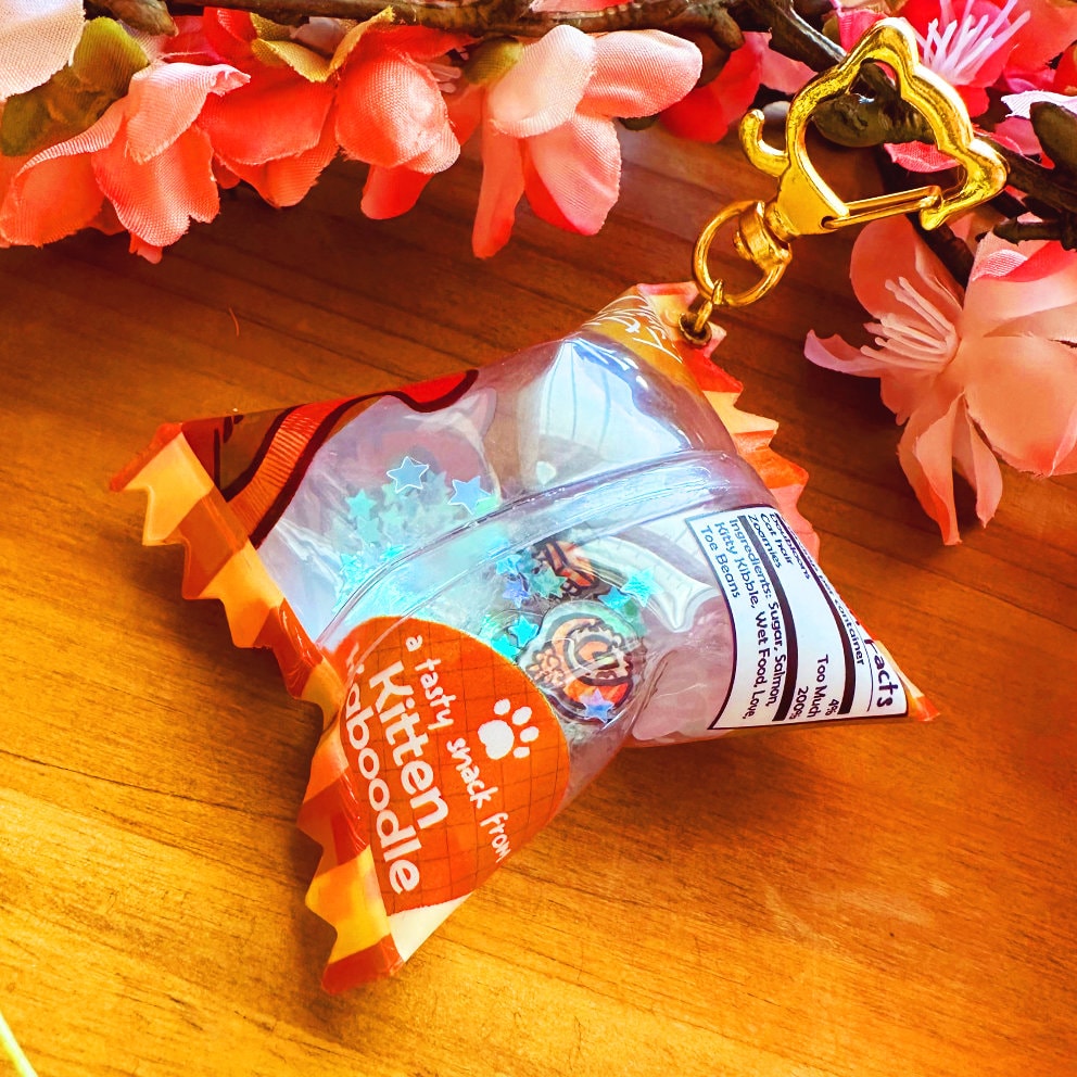 Bijou de sac de nourriture pour chat : Snackies au saumon